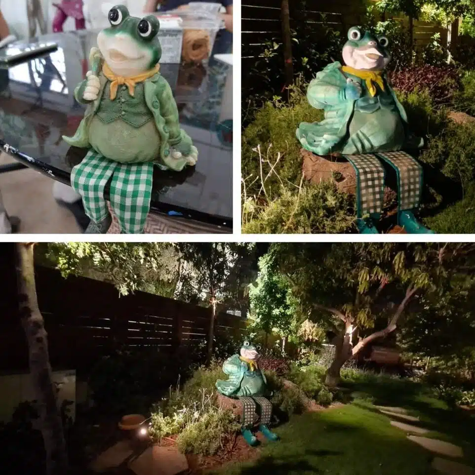 הצפרדע - פסל בגודל אדם לפי דגם מוקטןגינה פרטית